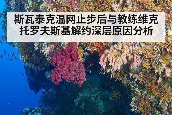 斯瓦泰克温网止步后与教练维克托罗夫斯基解约深层原因分析