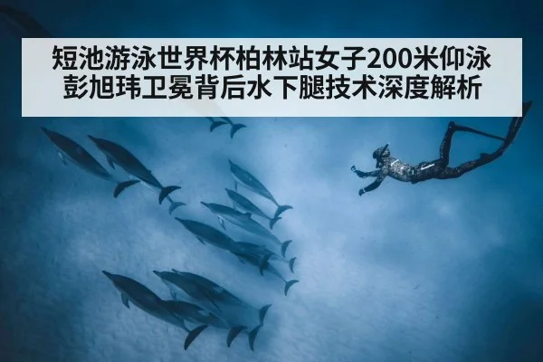 短池游泳世界杯柏林站女子200米仰泳 彭旭玮卫冕背后水下腿技术深度解析