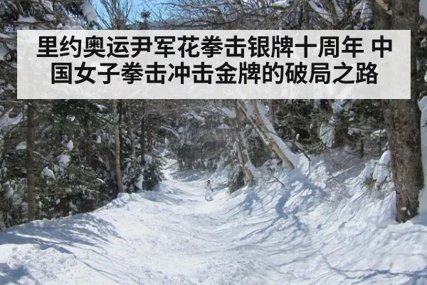 里约奥运尹军花拳击银牌十周年 中国女子拳击冲击金牌的破局之路