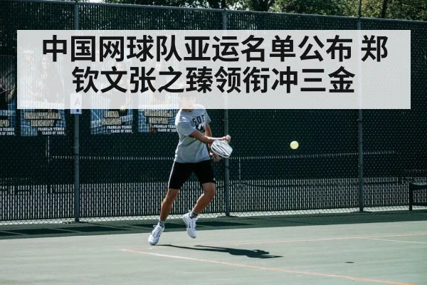 中国网球队亚运名单公布 郑钦文张之臻领衔冲三金(wegame)